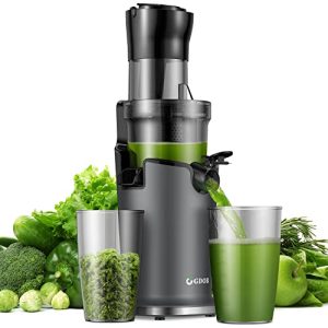 Cold Press GDOR Juicer with 3.5” Feed Chute, Tritan Material, Powerful 100NM Motor Slow Juicer Machines, Heavy Duty, Masticating Juice Extractor Fits Whole Fruits & Veggies, Easy to Clean, Cool Grey