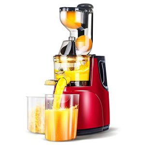 OverTwice Slow Masticating Juicer Cold Press Juice Extractor Apple Orange Citrus Juicer Machine with Wide Chute Quiet Motor for Fruit Vegetables