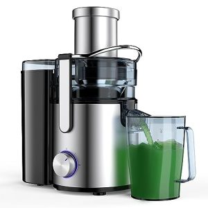 Healnitor 1000W 3-Speed LED Centrifugal Juicer Machines Vegetable and Fruit, Stainless Steel 3.5″ Big Mouth, Easy Clean, High Juice Yield, BPA Free, Stainless Steel