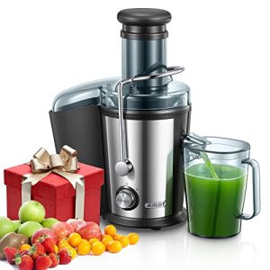 Juicer Machines Vegetable and Fruit, 800W Powerful Juilist Centrifugal Juicer Machines Easy to Clean with Brush, Dual Speeds Juice Extractor Machine with Large 3” Feed Chute & Anti-Drip