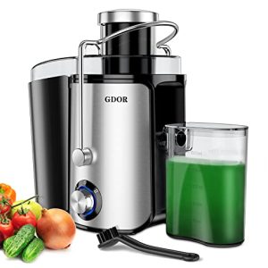 Juicer Machines with 1000W Motor, GDOR Extra Wide 3” Feed Chute Juicer, Juice Extractor for Whole Fruits and Vegetables, Easy to Clean Juice Maker, Centrifugal Juicer, BPA-Free, Anti-Drip, Silver