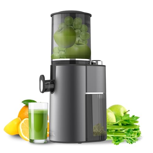 Masticating Juicer, 350W Master Cold Press Juicer with 3.5-inch (88mm) Extra Large Rotary Feed Chute, Slow Electric Juicer Machines with High Juice Yield for Fruits and Vegetables