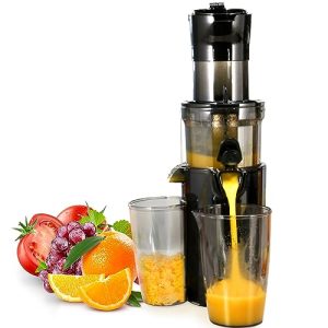 VEVOR Masticating Juicer, Cold Press Juicer Machine, Juice Extractor Maker with High Juice Yield, Easy to Clean with Brush, for High Nutrient Fruits Vegetables (Standard)