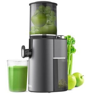 Masticating Juicer, Master Cold Press Juicer with Extra Large Rotary Continuous Feed Chute, Slow Electric Juicer Machines with High Juice Yield for Fruits and Vegetables