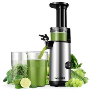 Compact GDOR Cold Press Juicer with 60NM DC Motor, Masticating Juicer Machines for Fruits and Vegetables, Space-Saving Slow Juicer with Low Noise, 20 Oz Juice Cup, Easy to Clean, BPA-Free, Silver