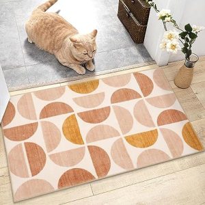 Lahome Boho Small Rug- 2×3 Soft Kitchen Rugs Non-Slip Ultra-Thin Washable Rugs for Enrtyway, Indoor Door Mat Geometric Modern Bohemia Throw Carpet for Bathroom Bedroom Office(2x3ft,Multi)