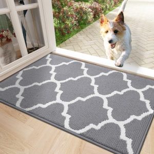 OLANLY Indoor Door Mat, 32×20, Non-Slip Absorbent Resist Dirt Entrance Mat, Washable Low-Profile Inside Floor Mat Doormats for Entryway, Grey