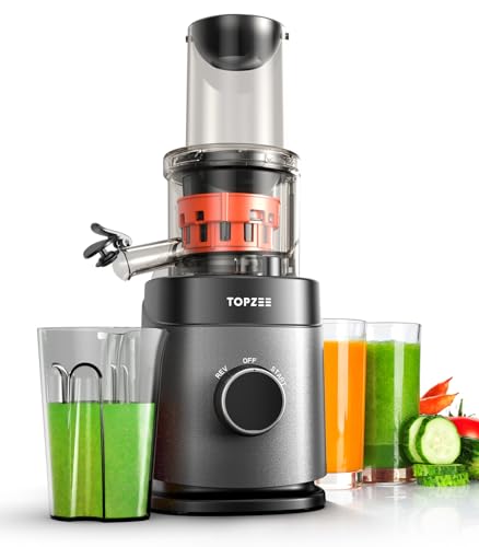 TOPZEE Masticating Juicer Machines, Powerful Slow Cold Press Juicer with Feed Chute, Juicer Machines Vegetable And Fruit, 24 oz Juice Cup, Easy to Clean with Brush