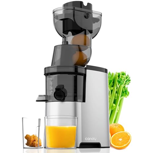 Masticating Juicer Machines, 4.1-inch(104mm) Powerful Slow Cold Press Juicer with Large Feed Chute,Easy to Clean with Brush