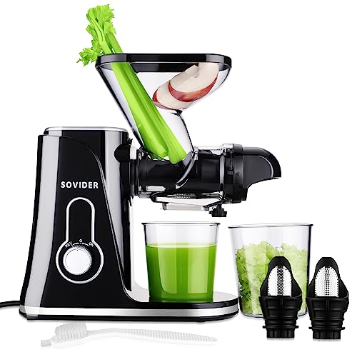 Cold Press Juicer Machine with Dual Feed & Dual Filters-SOVIDER Compact Slow Masticating Juicer- Mini Juicer Machines Saves Space – Easy Clean with Brush, Reverse Function,Low Noise