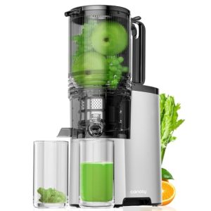 Cold Press Juicer, 5.4″ Extra Large Feed Chute Fit Whole Fruits & Vegetables, 350W Professional Slow Masticating Juicer Machines, Easy to Clean