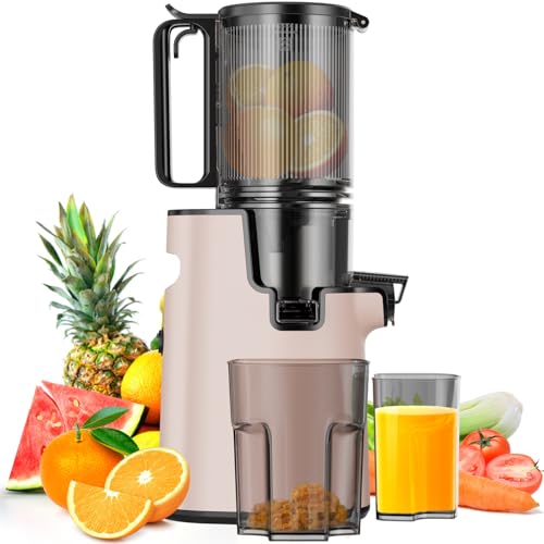 LQZ Cold Press Juicer,Slow Masticating Juicer Machines,5.3″ Large Bore Feed Chute Fit Whole Vegetables and Fruits,350W Juice Extractor Machine,Easy to Clean Juicer(Pink)