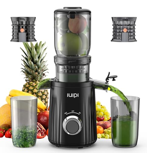 IUIPI Cold Press Juicer, Fit Whole Fruit and Vegetable Slow Masticating Juicer Machines, 4.3” Large Feed Chute, 250W Juice Extractor Machine, High Juice Yield, BPA Free, Easy to Clean with Brush