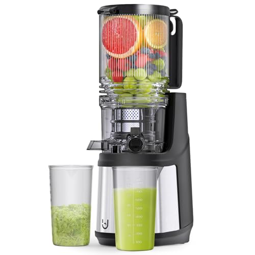 Masticating Juicer, 350W Slow Cold Press Juicer with 6.5″ Extra-Large Feeding Chute, Juicer Machines for Whole Fruits and Vegetables, Easy to Clean with Brush