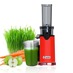 Qvin Cold Press Juicer Machine,Compact Design with Powerful Motor,Masticating Slow Juicer Machine with Juice and Pulp Cup, Juicer machines Vegetable and Fruit, Nut milk maker Red & Stainless Steel