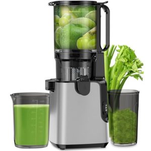 Juicer Machines with 6.1″ Extra Large Feed Chute, Cold Press Juicer Fit Whole Vegetables and Fruits, 350W Professional Masticating Juicer Easy to Clean for Batch Juicing (Silver)