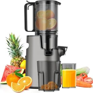 Cold Press Juicer,Slow Masticating Juicer Machines,350W Juice Extractor