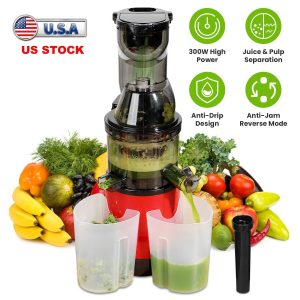 300W Electric Cold Press Juicer Machine Juice Vegetable Fruit Juicer Easy Clean