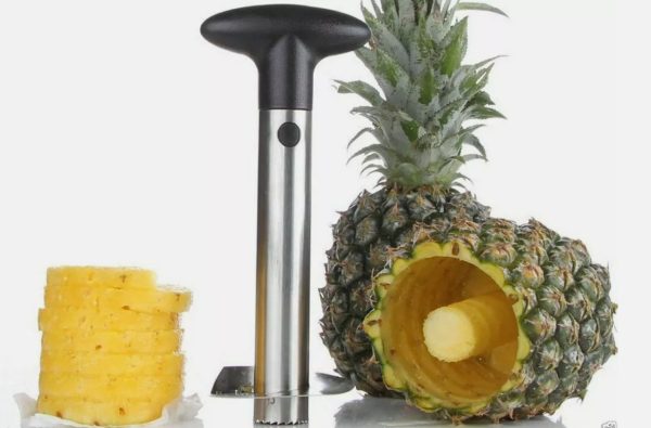 New Stainless Steel Fruit Pineapple Peeler Corer Slicer Kitchen Tool