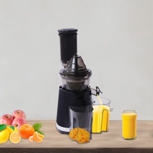 Kitchen Quiet Slow Juicer Masticating Juicer Machine Cold Press Extractor New