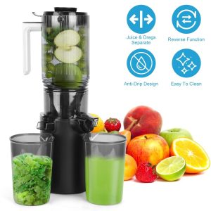 Cold Press Juicer Machine 250W Slow Masticating Juicer Juice Extractor Machine