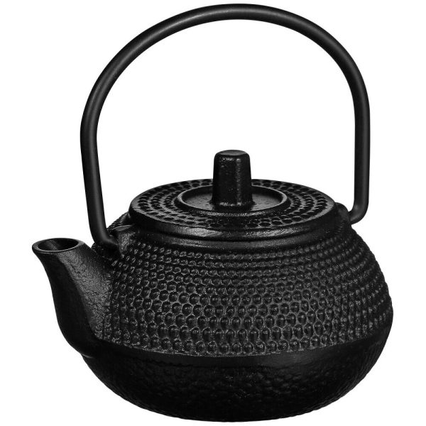 Cast Iron Teapot Small Water Kettle Collectible Teapot Kung Fu Tea Kettle