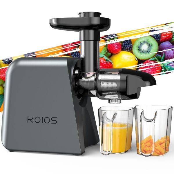 KOIOS Slow Masticating Juicer Machine Cold Press Juicer Juice Maker Grey 2 Speed