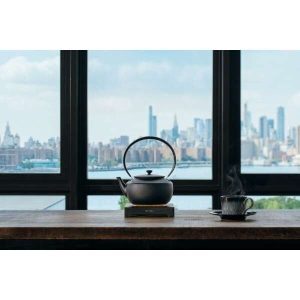 BALMUDA MoonKettle KPT02JP BK AC100V Electric Tea Kettles AC100V NEW from Japan