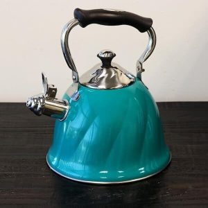 10-Cup Emerald Green Tea Kettle – Durable Stainless Steel, Fast Boil, Whistling