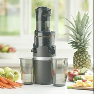 Vida Sana Cold Press Pro Juicer