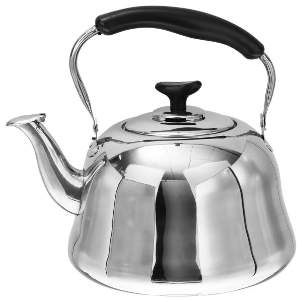 Silver Tea Infuser Stainless Steel Kettle Portable Handle Teapot