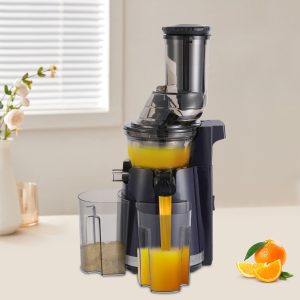 250W Electric Juicer Modern Juicer Machine Compact Juicing Maker 229*201*497mm