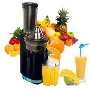 Slow Cold Press Juicer 250W for Maximum Nutrient Extraction & Quiet Operation