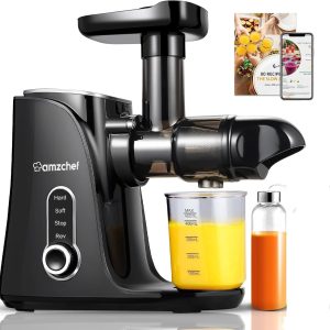 Juicer Machines, Slow Cold Press Juicer with 2 Speed Modes,Matte Black