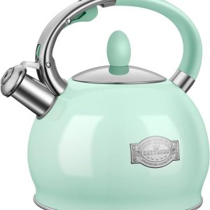 Tea Kettle for Stovetop Whistling Tea Kettles Modern Green Stainless Steel Teapo