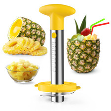 Pineapple Corer and Slicer Tool, Pineapple Cutter and Corer, Stainless Steel …