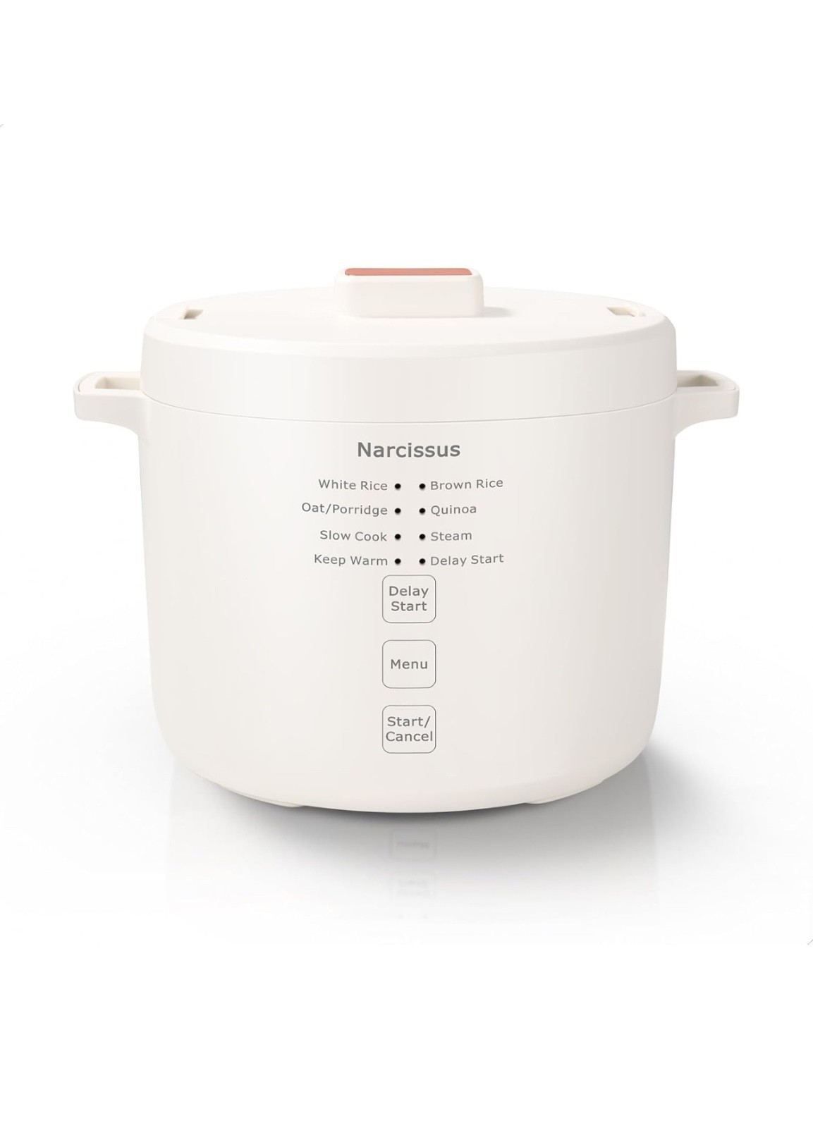 3.5-Cup Rice Cooker for 1-3 People, Multifunctional for Rice
